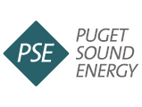 PSE logo