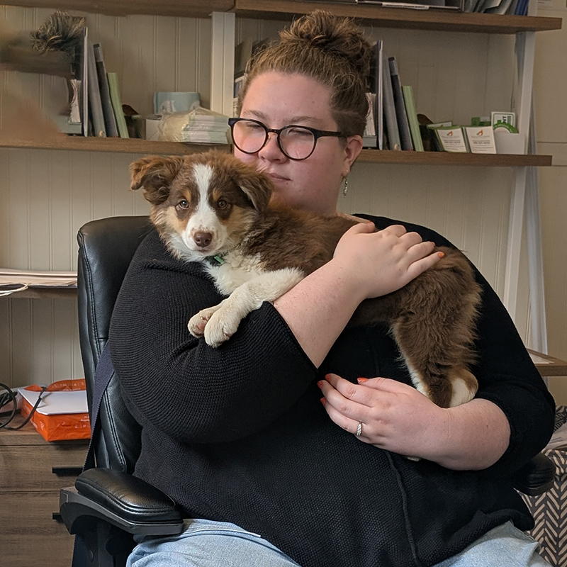 officePuppies001